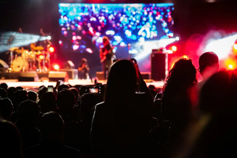 Friends at a concert